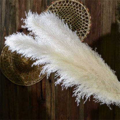 FeatherFawn - Getrocknete Pampasblumen