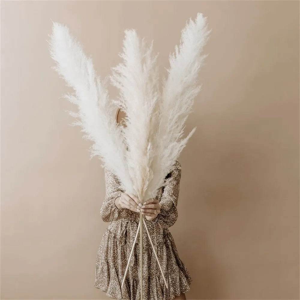 FeatherFawn - Getrocknete Pampasblumen