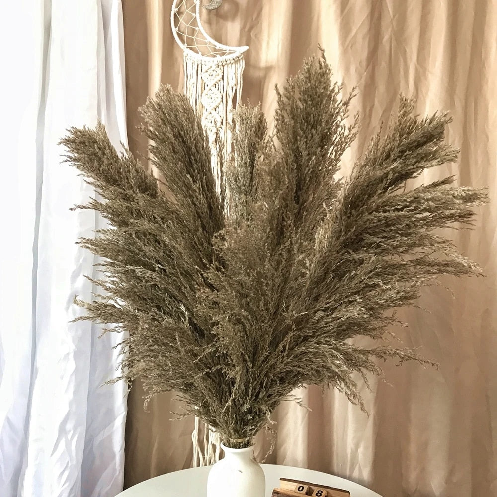 FeatherFawn - Getrocknete Pampasblumen