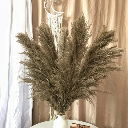 FeatherFawn - Getrocknete Pampasblumen