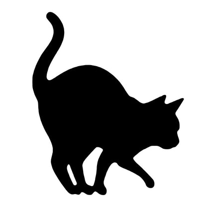 Motion Cat Light