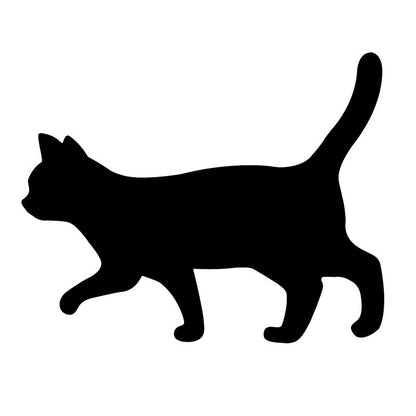 Motion Cat Light