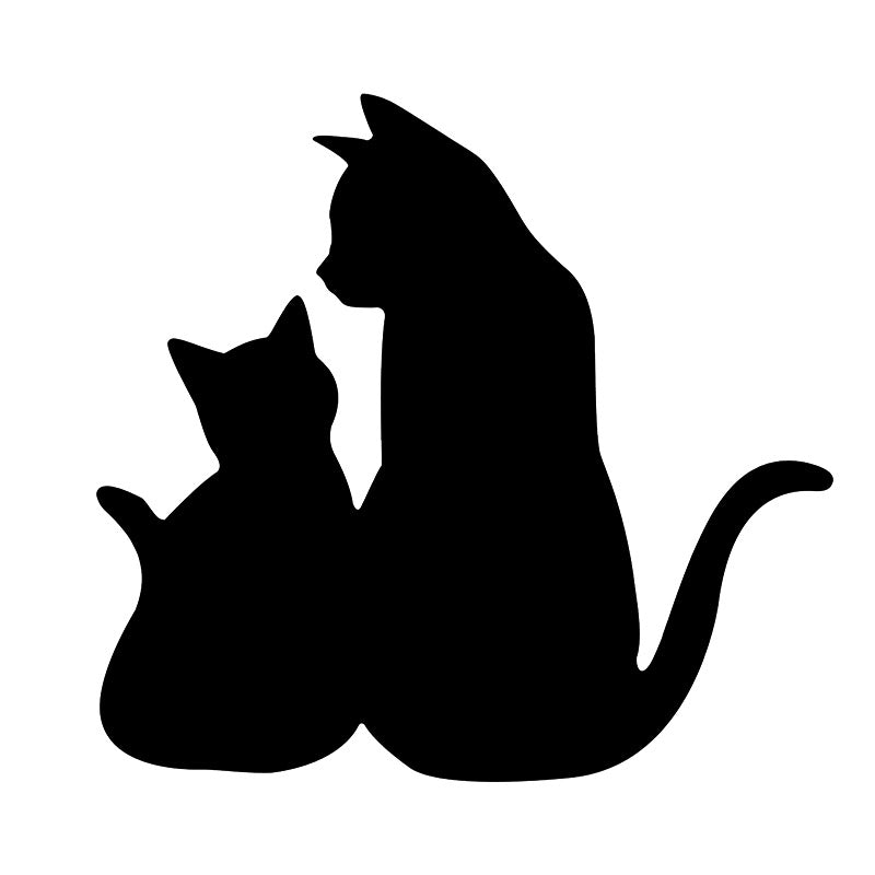 Motion Cat Light