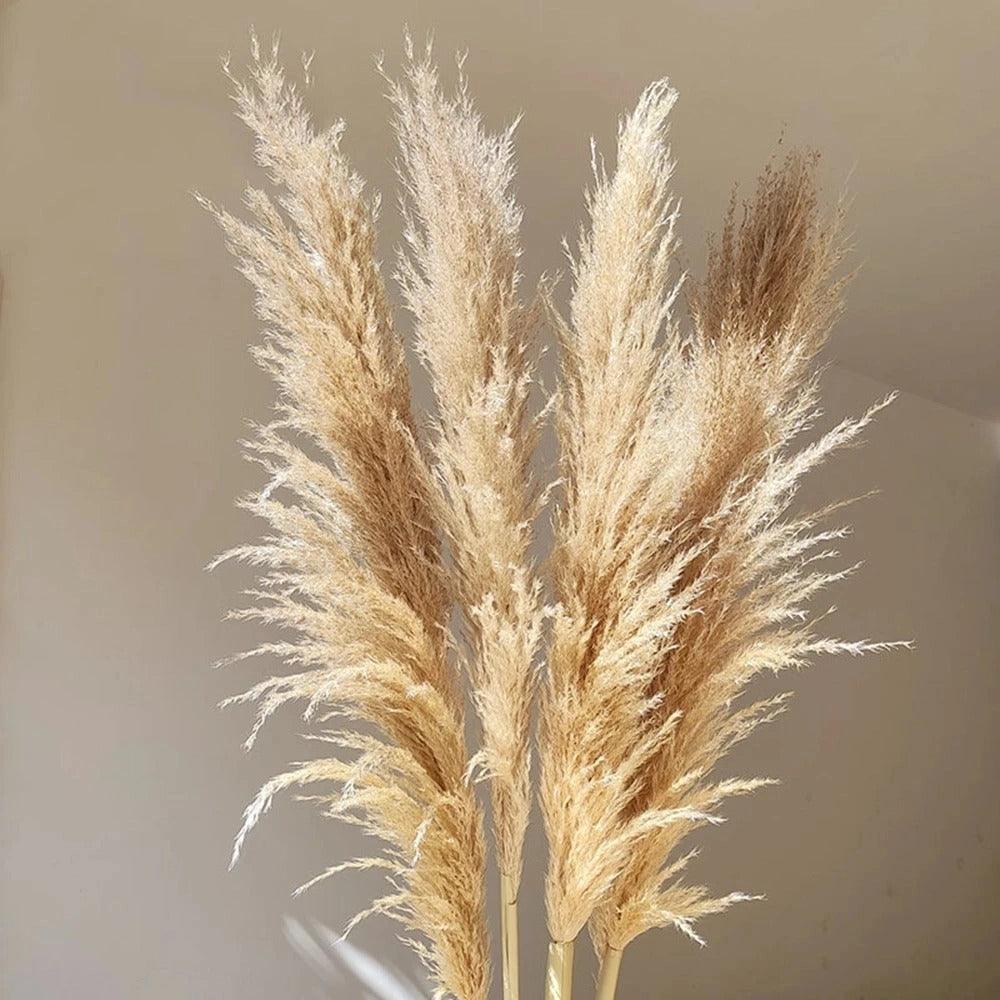 Großer getrockneter Pampasgrasstrauß - Flauschige Boho-Dekoration & rustikaler Tischschmuck