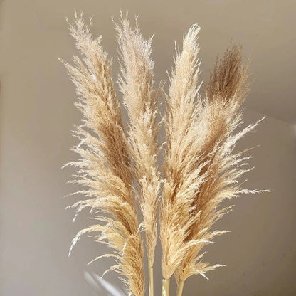 Großer getrockneter Pampasgrasstrauß - Flauschige Boho-Dekoration & rustikaler Tischschmuck