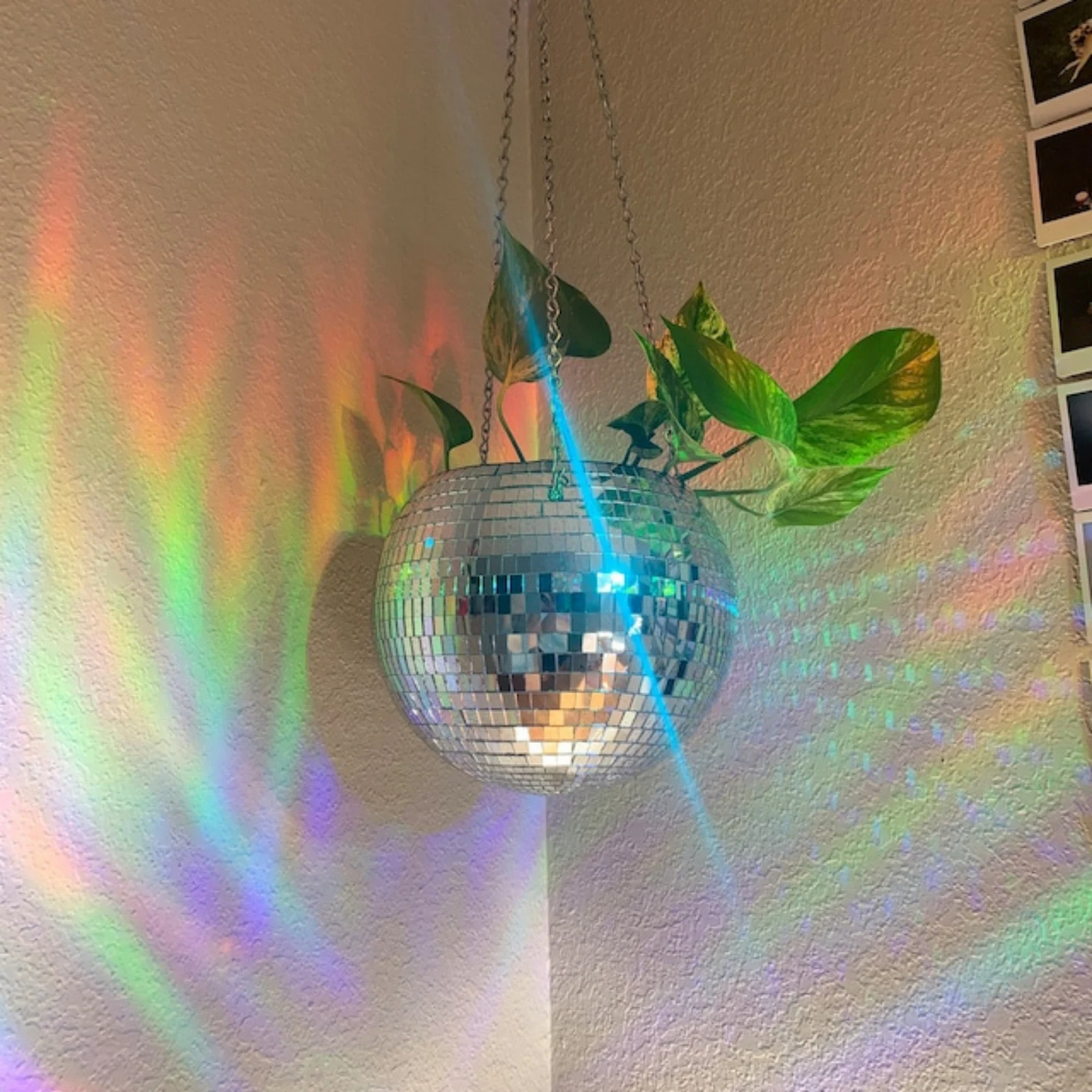 Disco Hängetopf