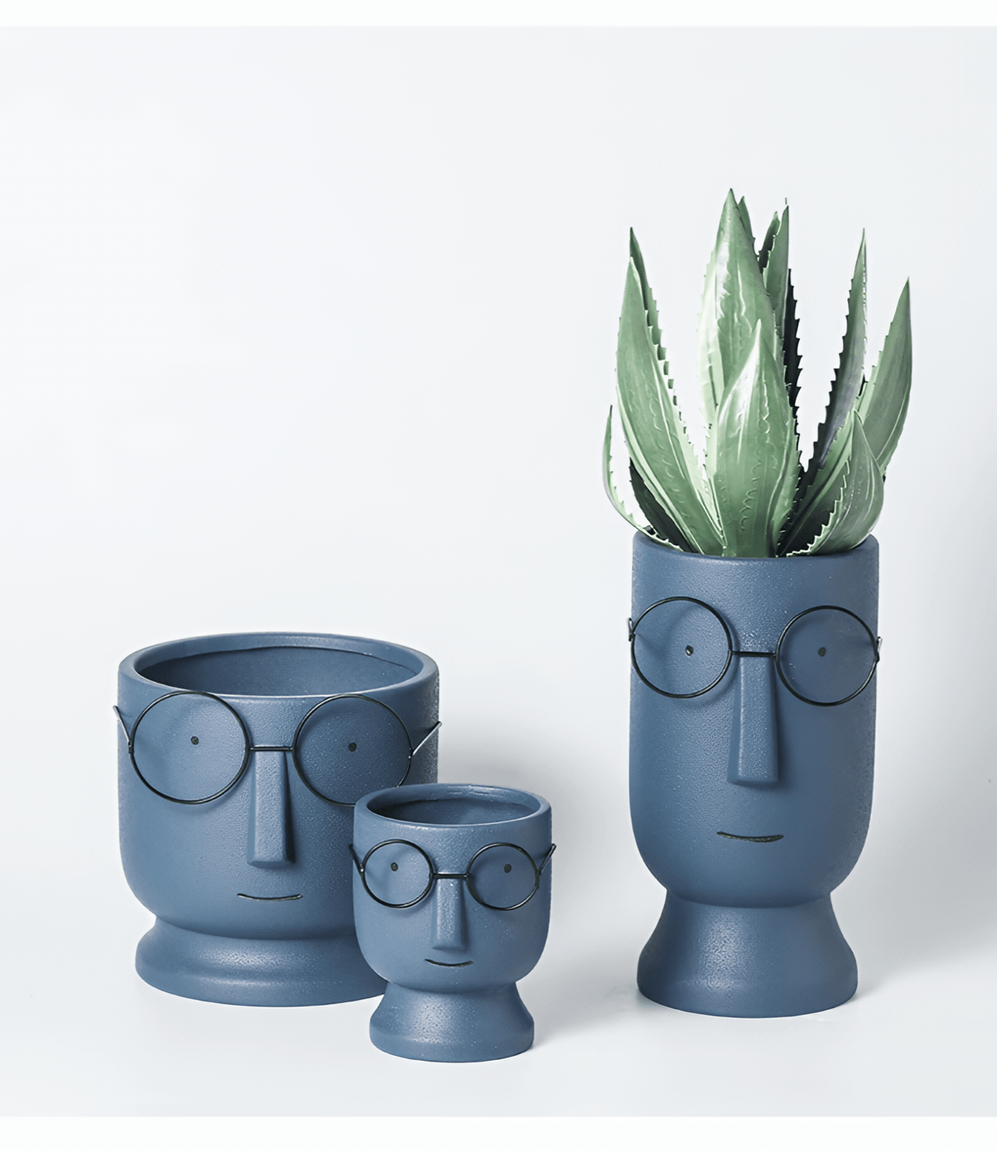 FERN & FRAMES | MODERNE VASE