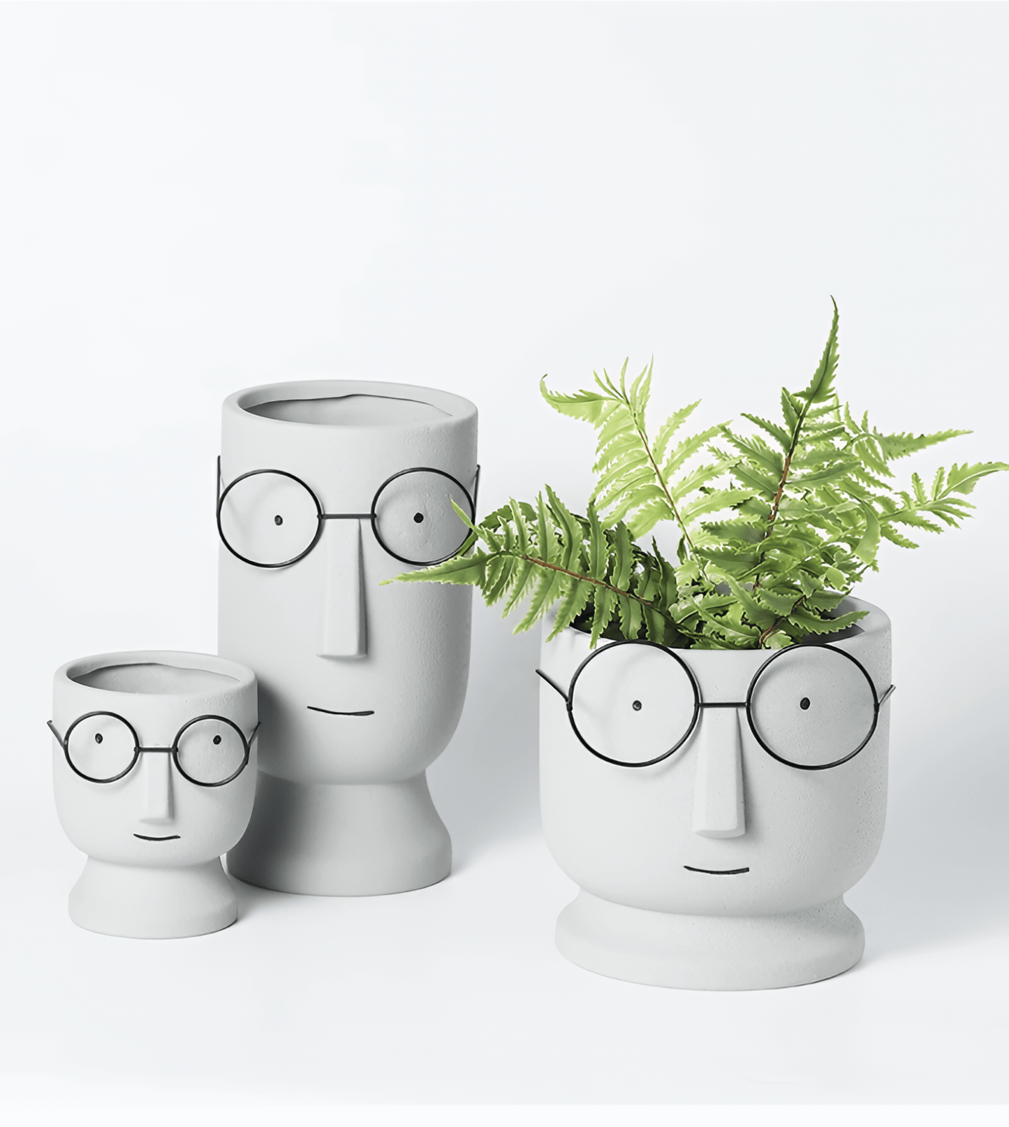 FERN & FRAMES | MODERNE VASE