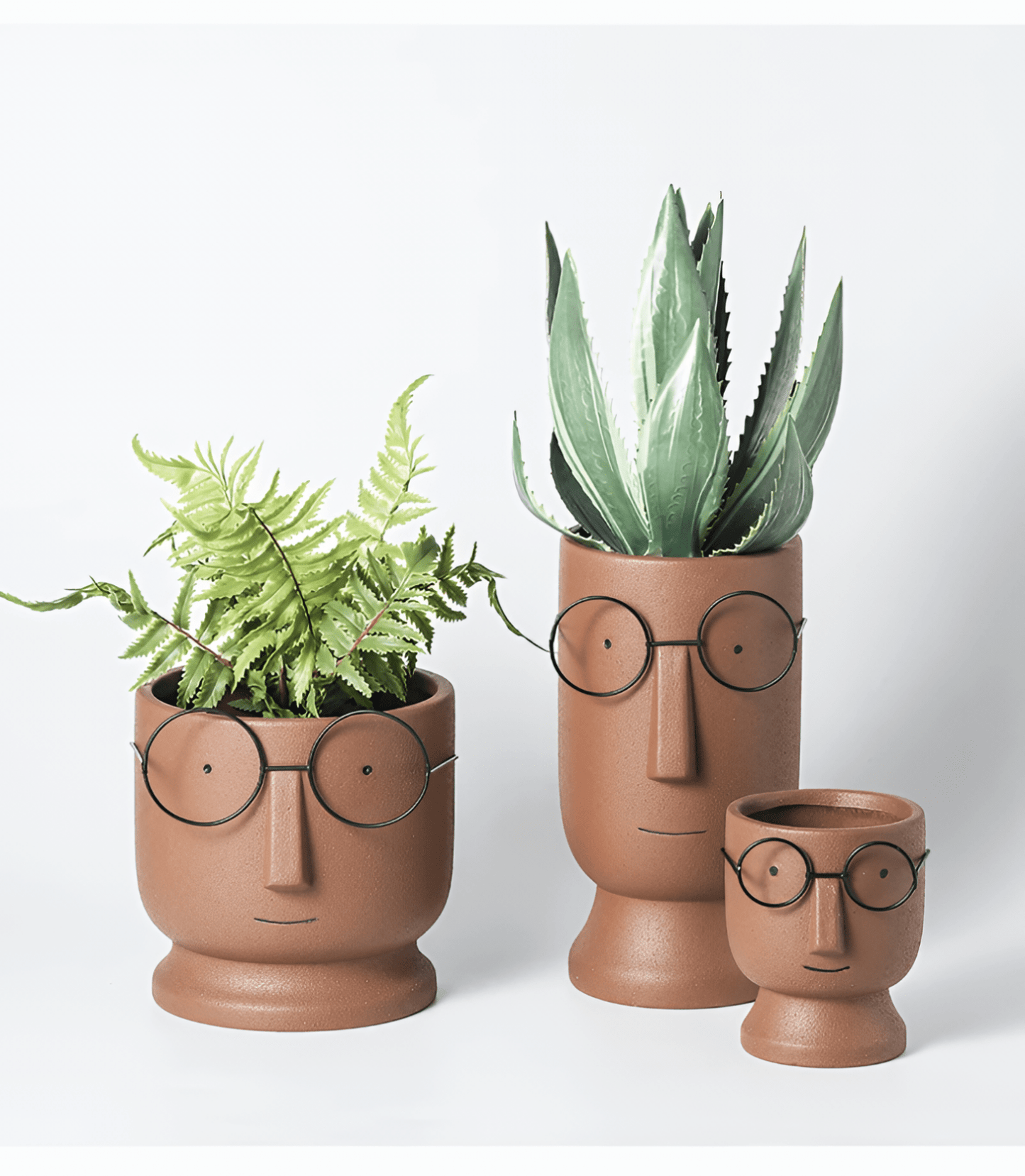 FERN & FRAMES | MODERNE VASE