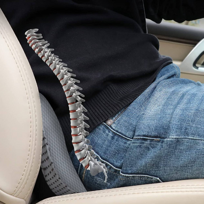 Montfort | Ergonomisches Autofahrer-Sitzkissen