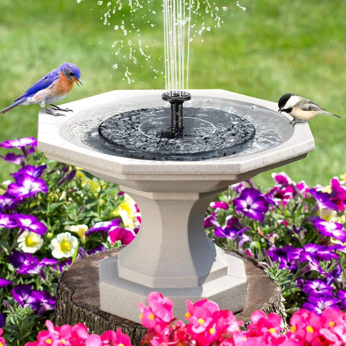 SonnenSprudel | Umweltfreundlicher Solarbrunnen für Vögel und Gartenvergnügen